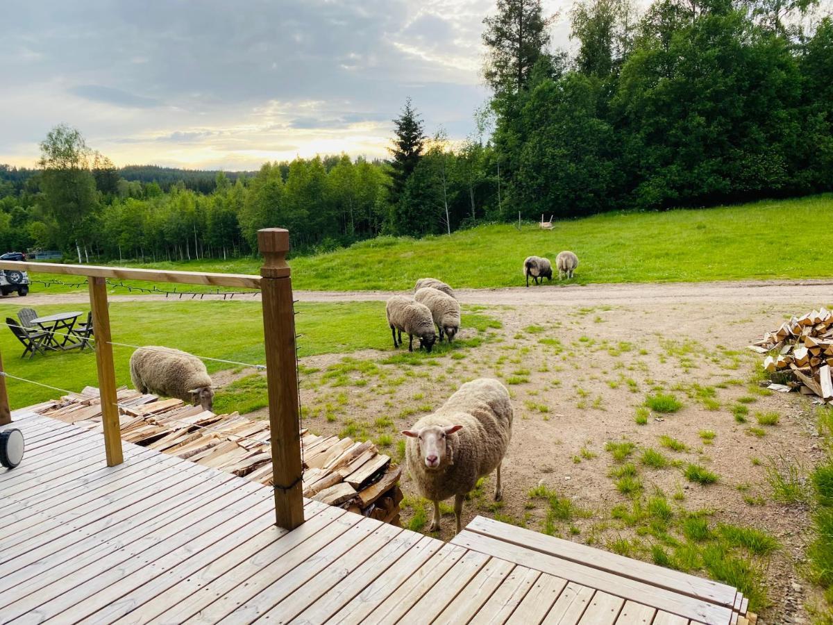 Adventure Sweden In Rural Area