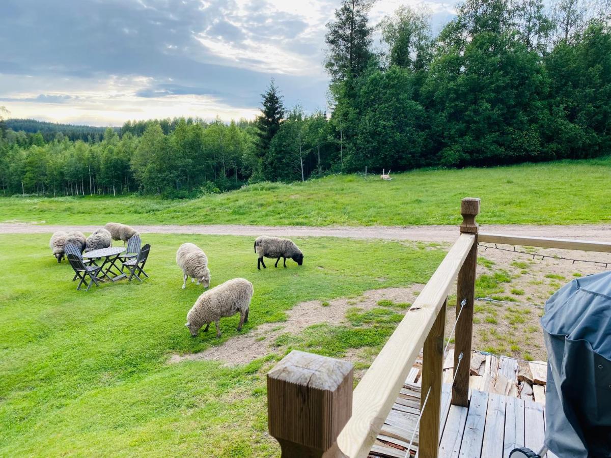 Adventure Sweden In Rural Area Chalet