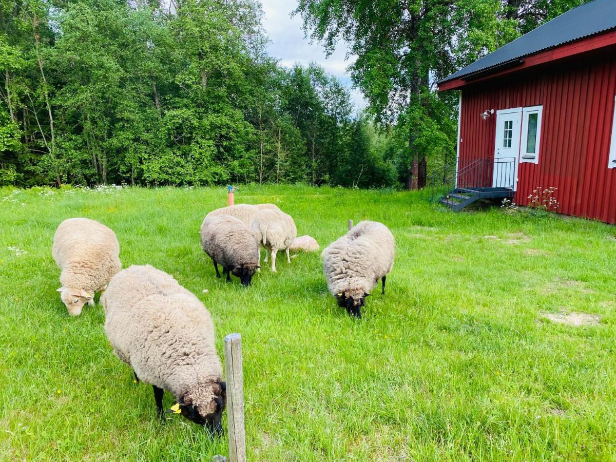 Adventure Sweden In Rural Area Chalet Sunne