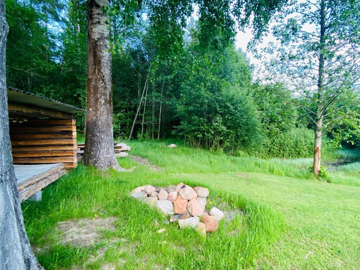 Chalet Adventure Sweden In Rural Area