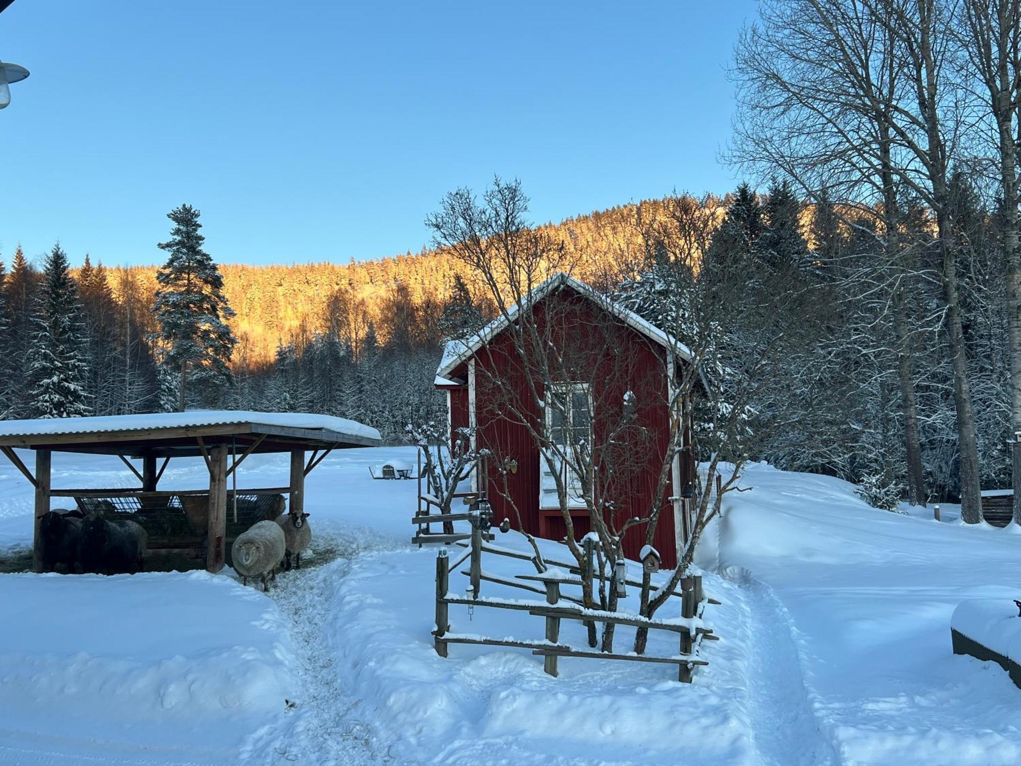 Adventure Sweden In Rural Area *