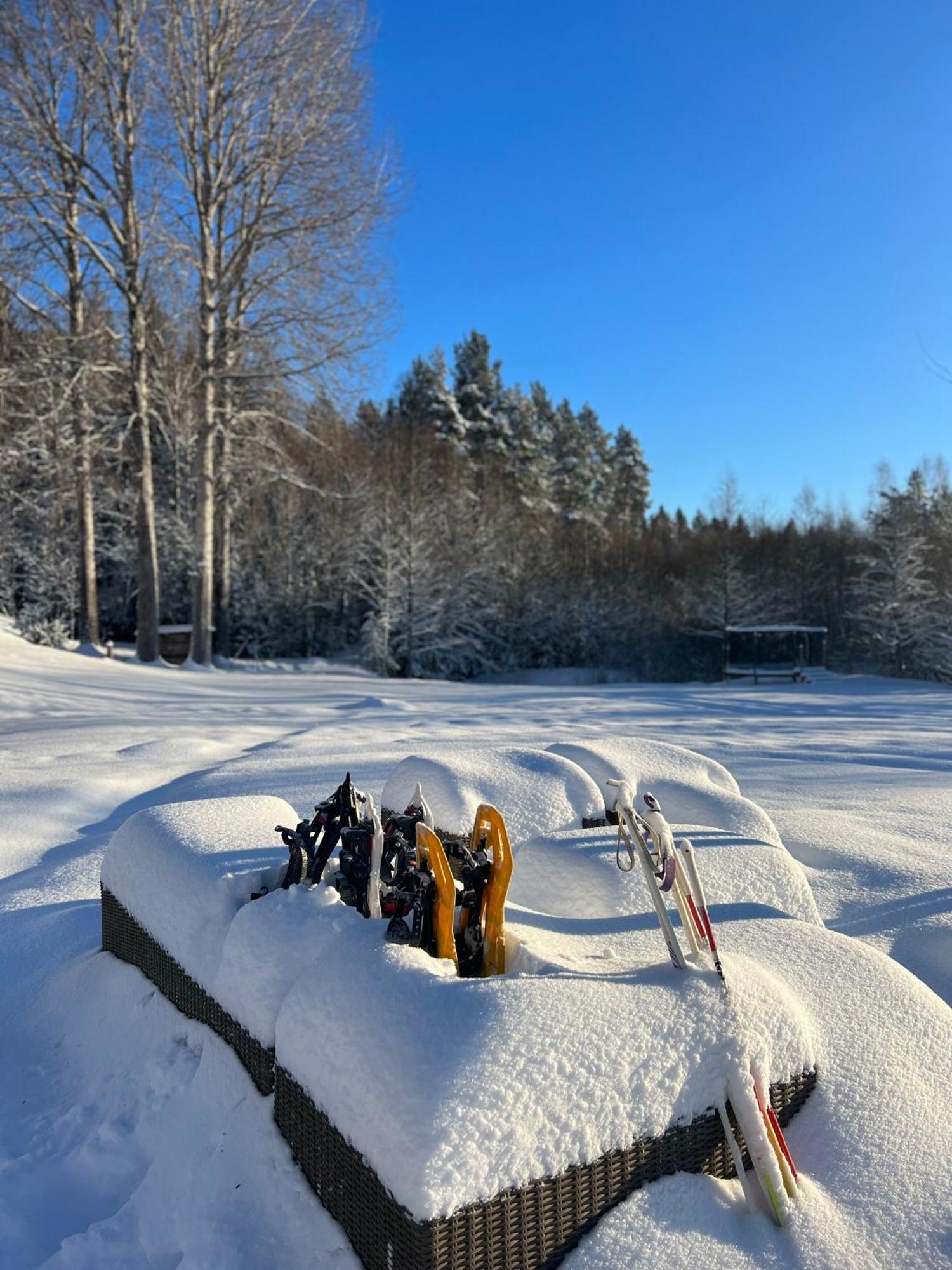 Chalet Adventure Sweden In Rural Area